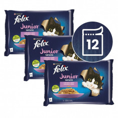 FELIX Junior Fantastic pliculețe, selecție delicioasă în gelatină 12 x 85 g