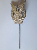 Cumpara ieftin Rara!Insigna argint fortele militare aeriene indoneziene/Wings of the Motherland