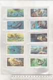 Bnk crc Brooke Bond Tea - Marea - cealalta lume a noastra - completa