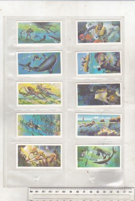 bnk crc Brooke Bond Tea - Marea - cealalta lume a noastra - completa foto