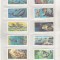 bnk crc Brooke Bond Tea - Marea - cealalta lume a noastra - completa