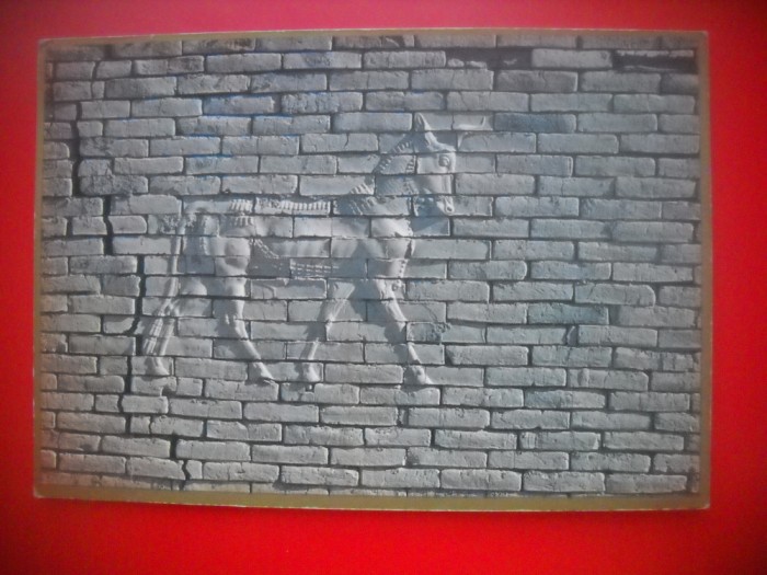 HOPCT 5341 TAUR PE CARAMIDA GLAZURATA -VECHIUL BABILON-MUZEUL IST .IRAK-ASIA-NECIRCULATA