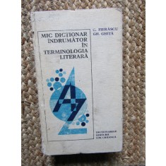 Mic dictionar indrumator in terminologia literara - C. Fierascu, Gh. Ghita