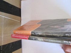 Eugene Sue - Misterele Parisului (volumul 1), Misterele Parisului, volumul 2. Nu poti fugi din calea destinului