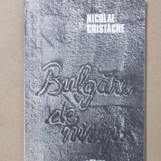 Bulgăre de nisip - Nicolae Cristache