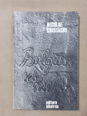 Bulgăre de nisip - Nicolae Cristache foto