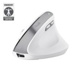 Cumpara ieftin Mouse Wireless TRUST Bayo II, 2400 dpi, Alb