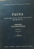 FAUNA RSR PORIFERA POTAMOSPONGIAE - LUDOVIC RUDESCU, 1975