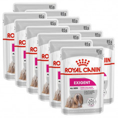 Royal Canin Exigent Dog Loaf pliculeț cu pateu pentru câini mici de 12 x 85 g