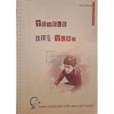 Vlad-Mihai Diaconescu - Temele lui Vlad - Lumea vazuta prin ochii unui copil crestin (Editia: 2010)