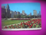 HOPCT 7524 PARCUL TRANDAFIRILOR - CHICAGO -SUA-AMERICA DE NORD -CIRCULATA