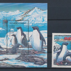 CHILE-Antarctica CHILEANA-Pinguini-Serie 2 timbre si colita numerotata din 1993