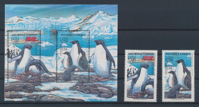 CHILE-Antarctica CHILEANA-Pinguini-Serie 2 timbre si colita numerotata din 1993 foto