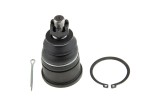 Rotula brat suspensie Honda Accord Cb, Cc, Cd, Ce 1990-1998, Odyssey 1994-1998, Fata, Inferior, NTY ZSD-HD-002