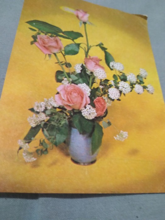CARTE POSTALA --FELICITARE NECIRCULATA
