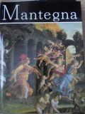 MANTEGNA. ALBUM DE ARTA-ALEXANDRU BALACI-347084