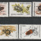 Romania 1996 - #1404 Insecte (I) 5v MNH