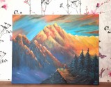 Tablou pictat MUNTII 40*50 cm