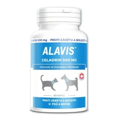 ALAVIS Celadrin - analgezic ?i antiinflamator pentru pisici ?i caini, 60 tablete. foto
