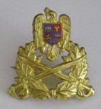 QW14 - Emblema militara / cuc - Uscat - piesa de colectie