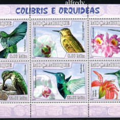 MOZAMBIC 2007, Fauna, Flora, Pasari, serie neuzată, MNH