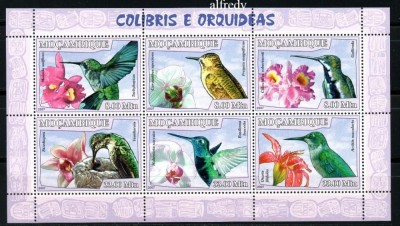 MOZAMBIC 2007, Fauna, Flora, Pasari, serie neuzată, MNH foto