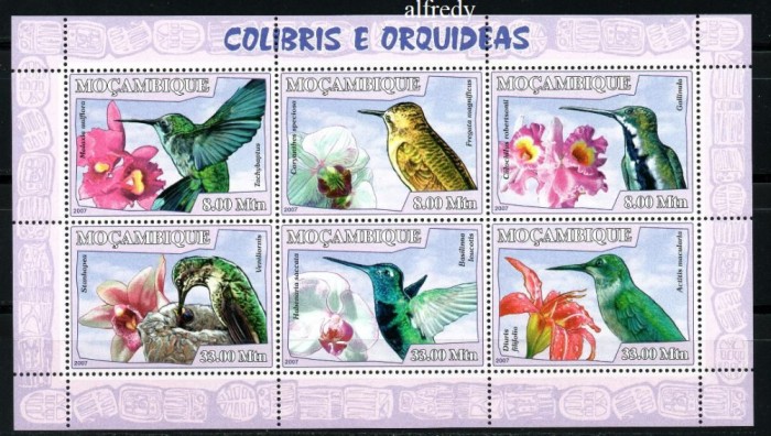 MOZAMBIC 2007, Fauna, Flora, Pasari, serie neuzată, MNH