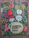 Luna-Betiluna, Dora-Minodora si gradina | Anamaria Smigelschi, 1985, Didactica si Pedagogica, ALL