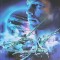 AVATAR, CONFRUNTAREA CU NA&#039;VI-JAMES CAMERON&#039;S-272069