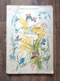 ARIPIOARE DE SMALT de EMILIA CALDARARU , ilustratii de DEM . RISTEA , 1967