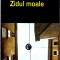 Zidul moale, Adrian Buz