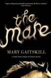The Mare - Mary Gaitskill, Carte straina in engleza despre o fata si un cal, literatura contemporana