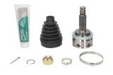 Set articulatie, planetara PASCAL G10365PC