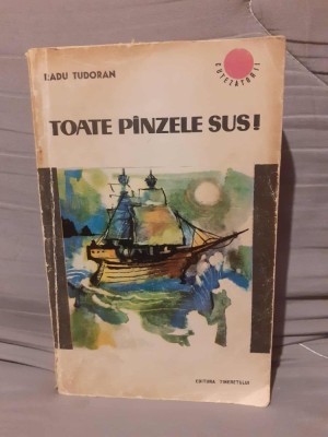 TOATE PANZELE SUS-RADU TUDORAN foto