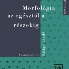 Morfológia az egésztől a részekig - A magyar főnév esete - Palágyi László