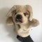 Marioneta teatru de papusi papusa manuala caine boxer buldog
