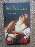 JUAN TAFUR - PATIMIRILE MARIEI MAGDALENA , 2007 ( CARTONATA )