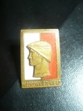 Insigna mica Soldat Exemplar 1950 Polonia ,bronz aurit si email ,dim.=3,1x1,8cm