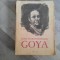 Goya de Lion Feuchtwanger