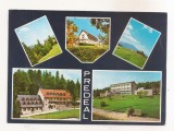 RF154 - Carte Postala - Predeal, necirculata 1972