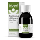Sirop Patlagina Muguri Pin Bioeel 120 ml - Suport Respirator, Tuse Productiva