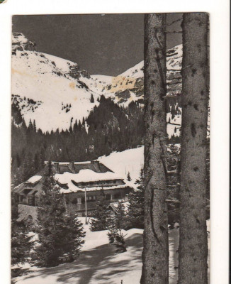 CPI B 11160 CARTE POSTALA - MUNTII BUCEGI. CABANA &amp;quot;PESTERA&amp;quot;, RPR foto