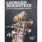Cum sa intelegem muzica. Concerte pentru tineret - 1991 - Leonard Bernstein (N3)