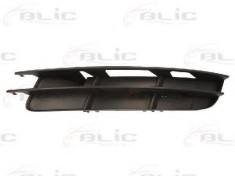 Grila ventilatie, bara protectie AUDI Q7 (4L) (2006 - 2015) BLIC 6502-07-0040995P foto