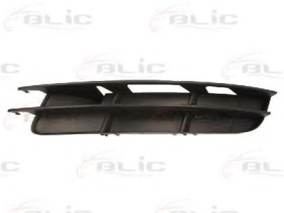 Grila ventilatie, bara protectie AUDI Q7 (4L) (2006 - 2015) BLIC 6502-07-0040995P foto