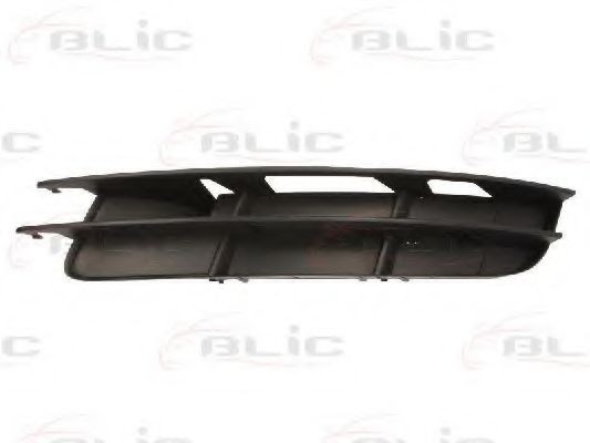 Grila ventilatie, bara protectie AUDI Q7 (4L) (2006 - 2015) BLIC 6502-07-0040995P
