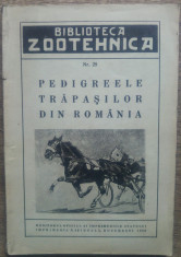 Pedigreele trapasilor din Romania// 1939 foto