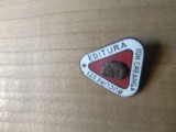 Insigna Personalitati Ion Creanga