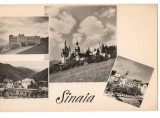 CPI B13665 CARTE POSTALA - SINAIA - MOZAIC, RPR, Necirculata, Fotografie