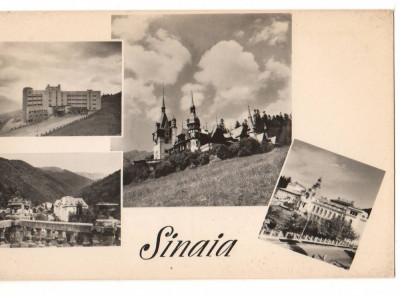 CPI B13665 CARTE POSTALA - SINAIA - MOZAIC, RPR foto